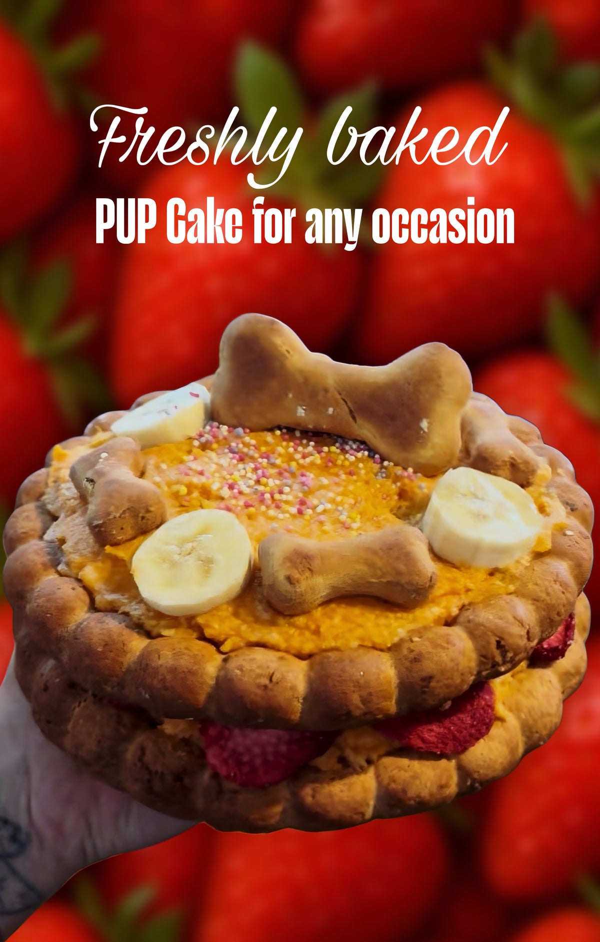 Artisan Pup Cake