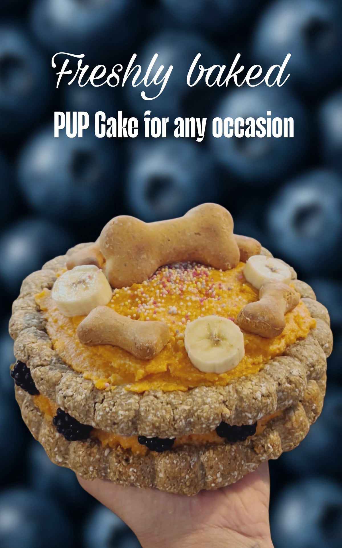 Artisan Pup Cake