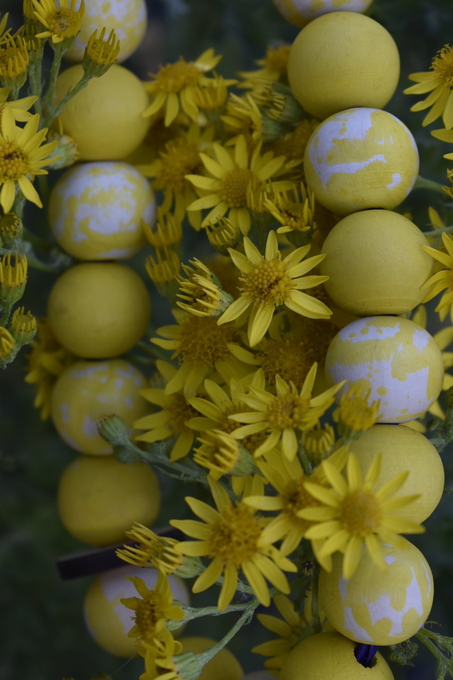 Lush Lemon Button Beads Pet Necklace