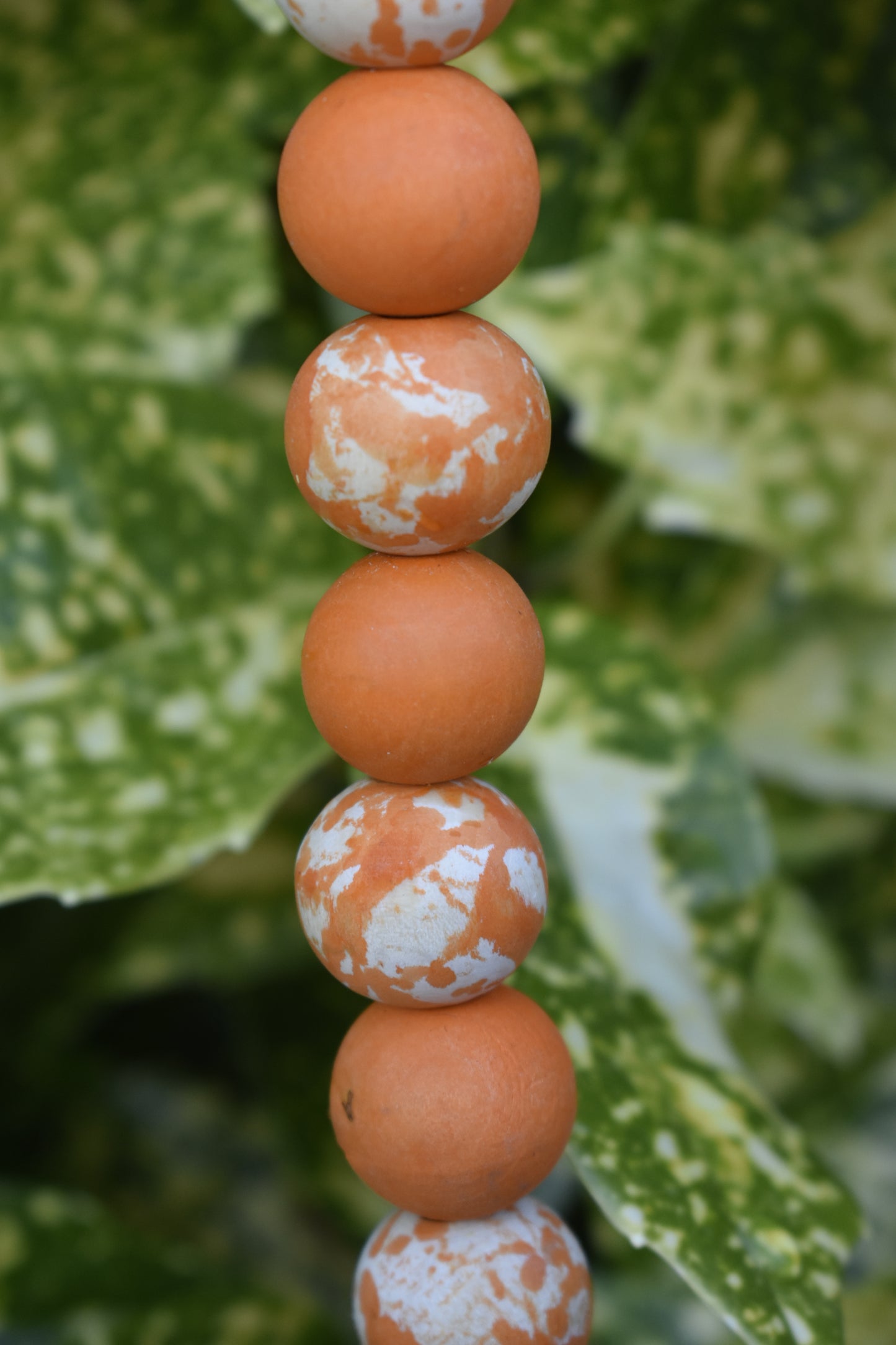Orange Zest Button Beads Pet Necklace