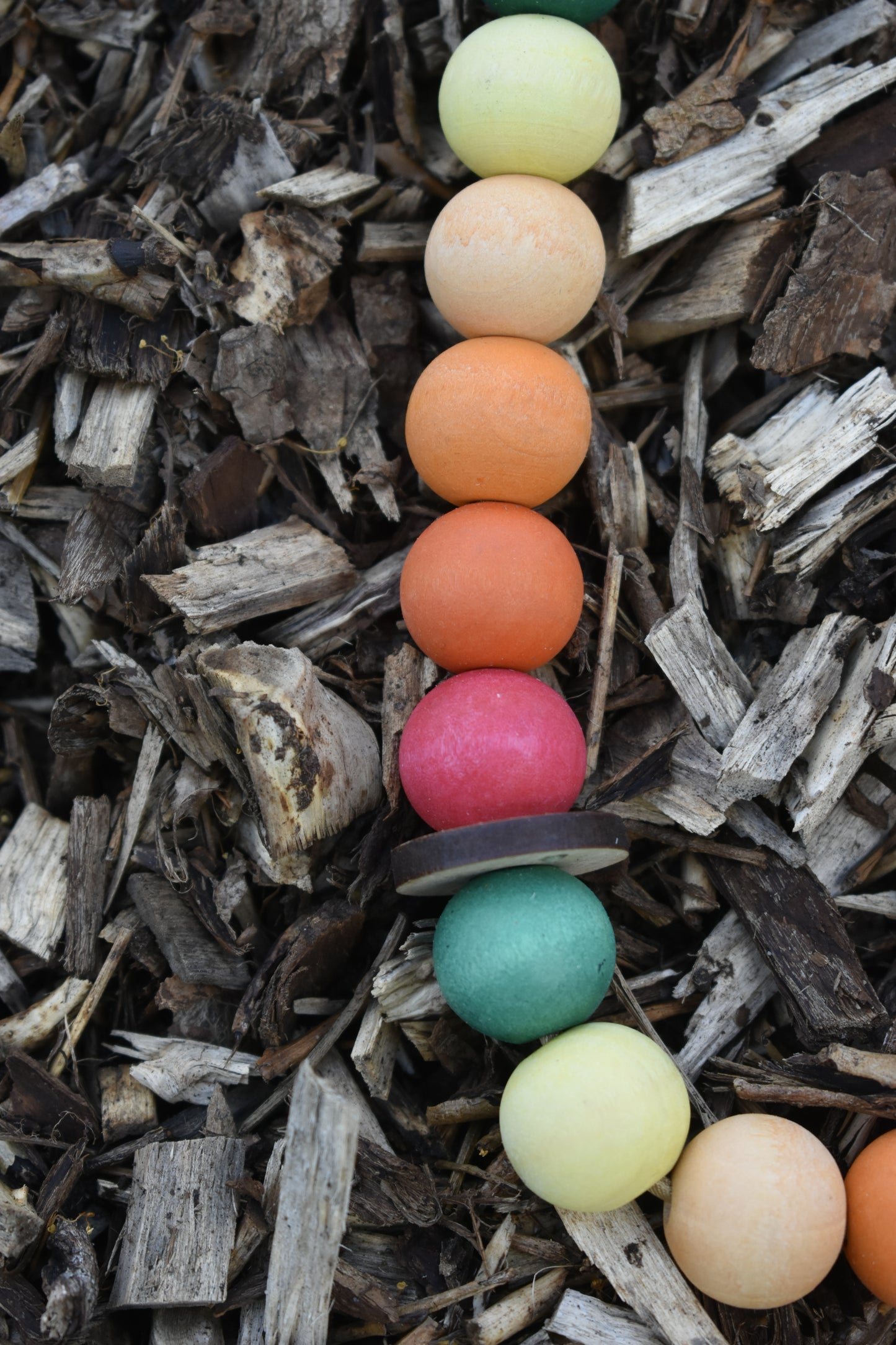 Sunset Button Beads Pet Necklace