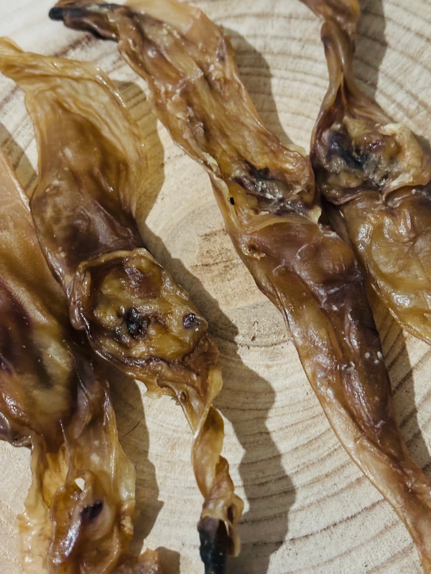 Rabbit Ears with no Hair