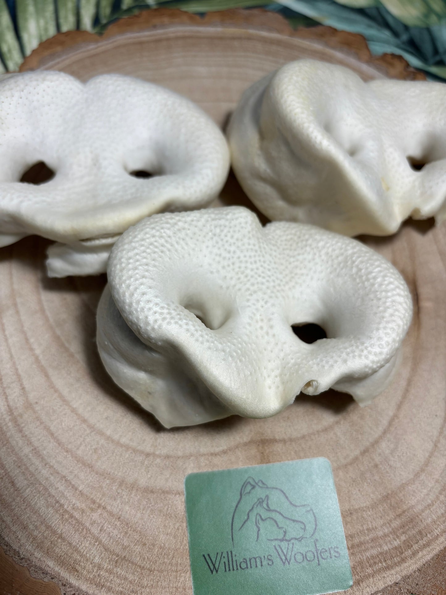 Puffed Pig Snouts