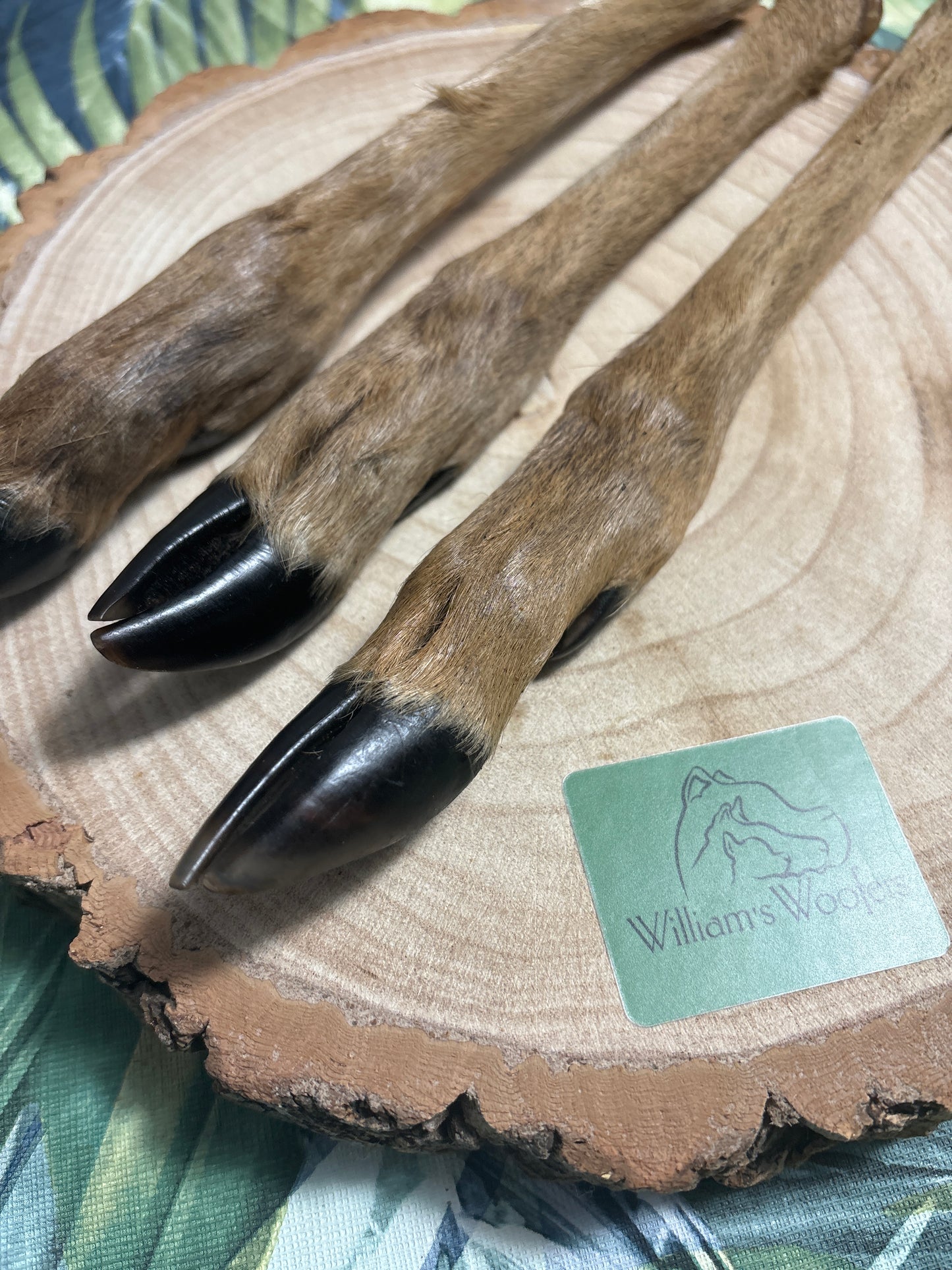 Venison legs