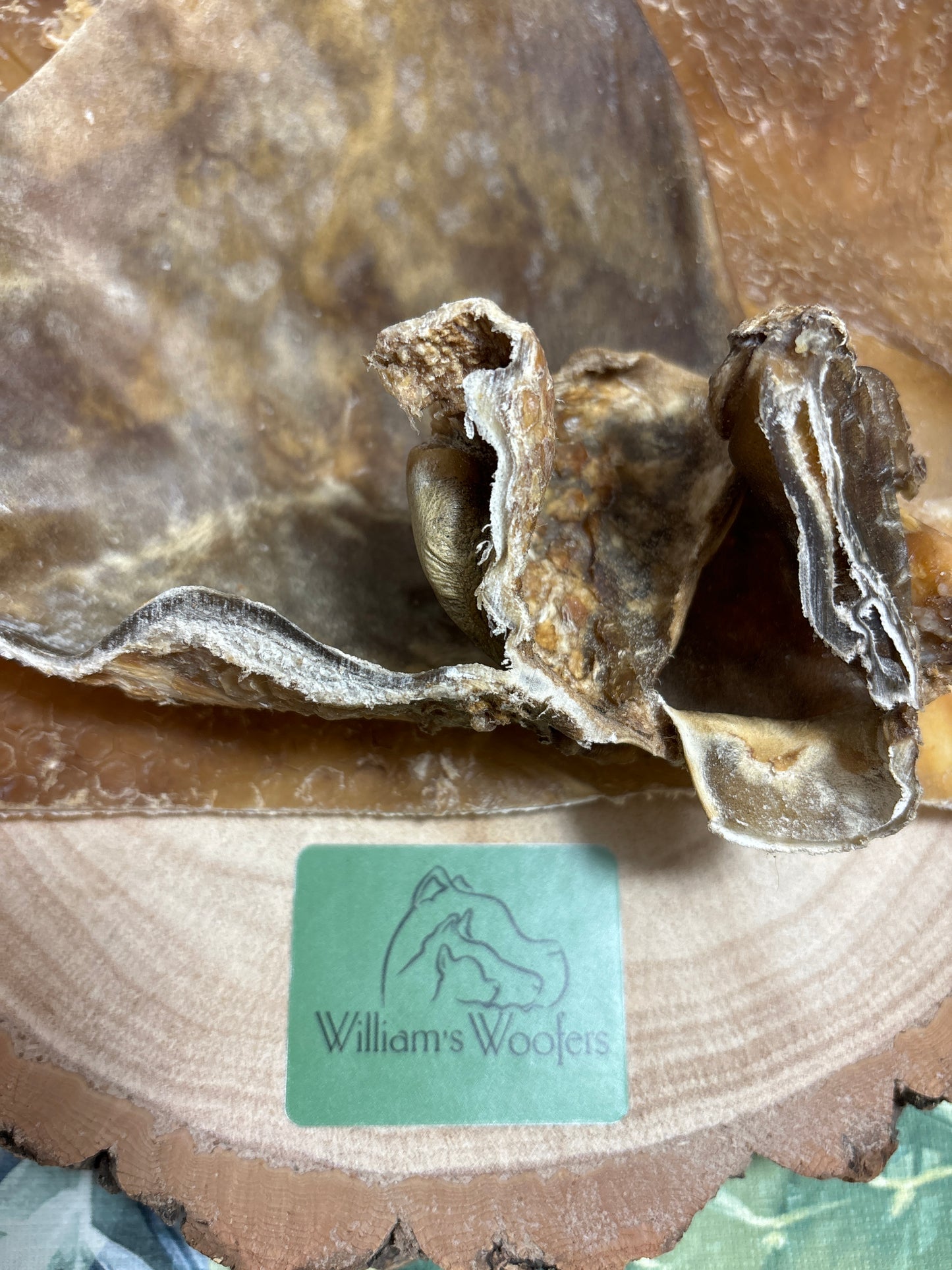 Camel Skin Plates