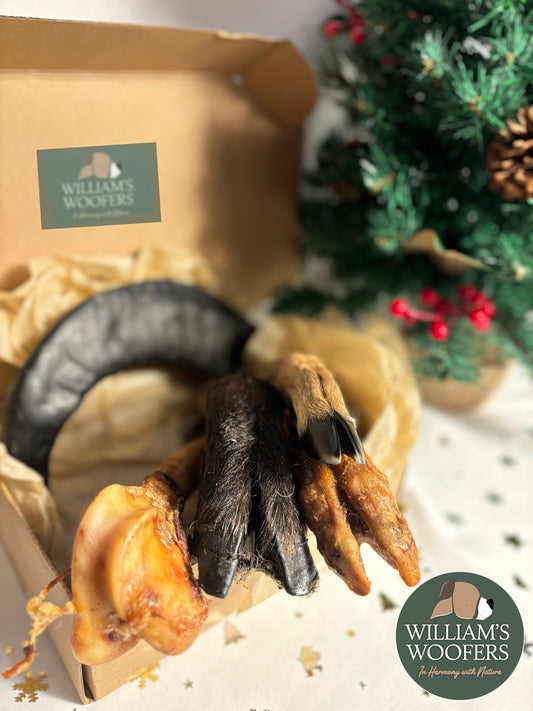 Merry Woofmas Heavy Chewer Box