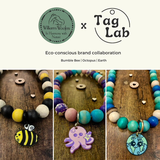 Collaboration with TagLab UK