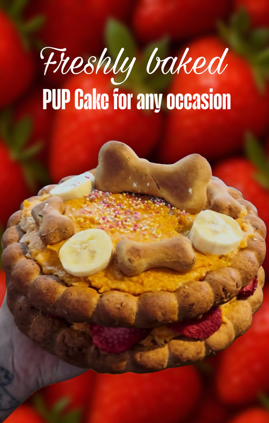 Artisan Pup Cake
