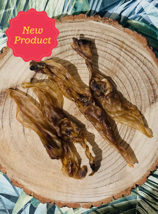 Rabbit Ears with no Hair