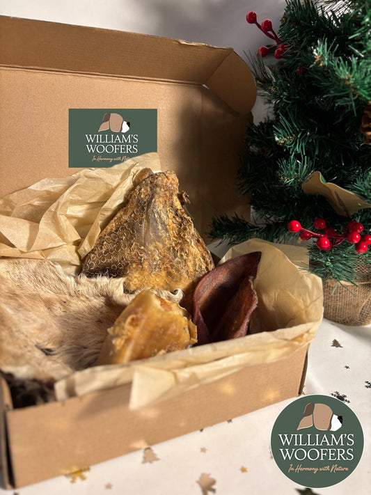 Merry Woofmas Long Lasting Box