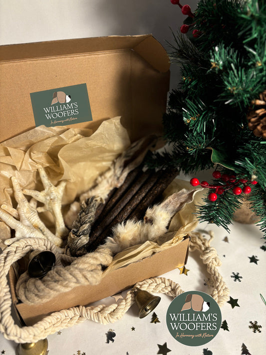 Merry Woofmas Puppy Box