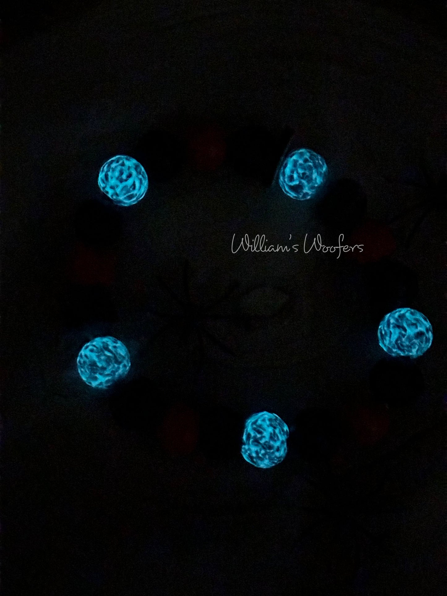 Halloween Glow in the Dark Dog Necklace