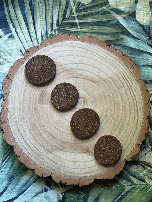 Gourmet Rabbit Burgers