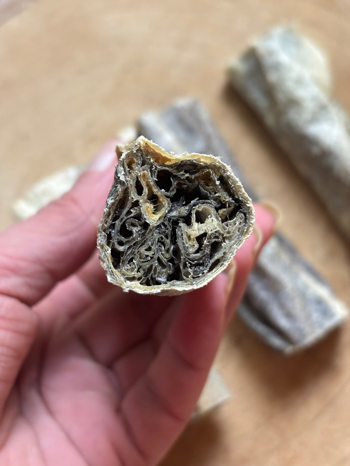 Fish Skin Rolls