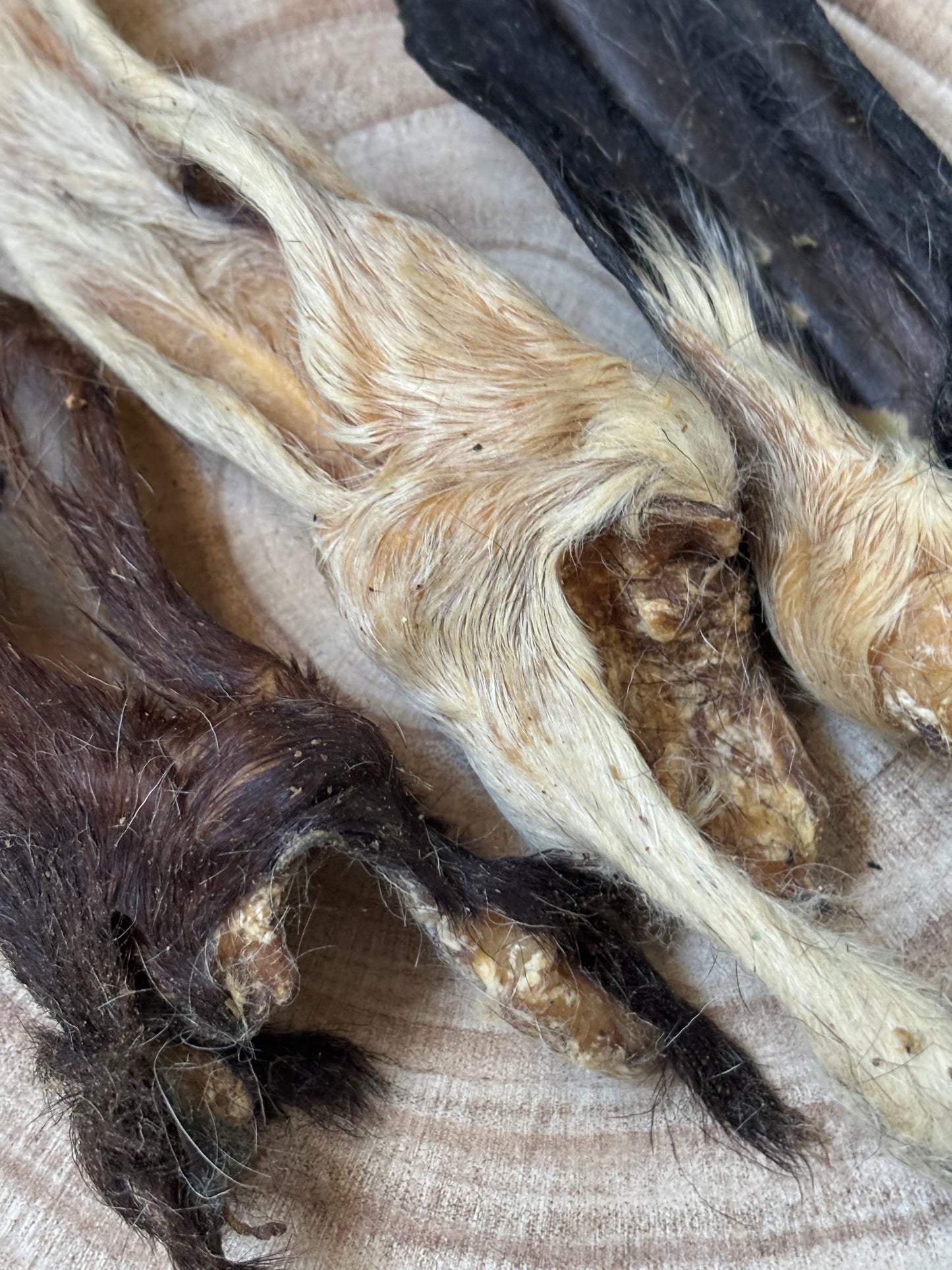 Hairy Lamb Ears