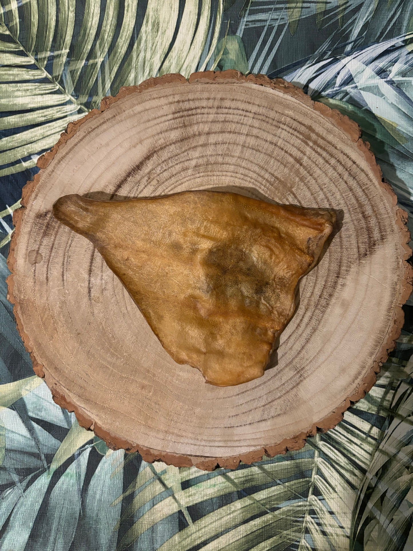 Cow Ear Flaps - Large