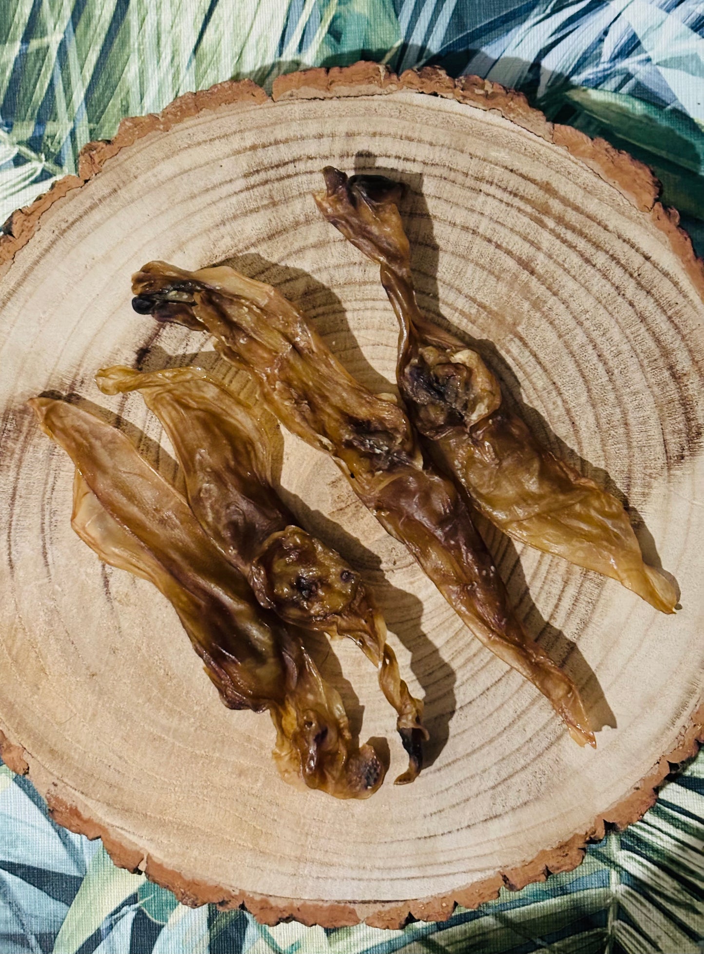 Rabbit Ears with no Hair