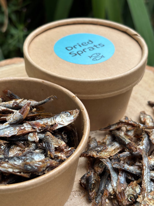Potted Natural Air Dried Sprats