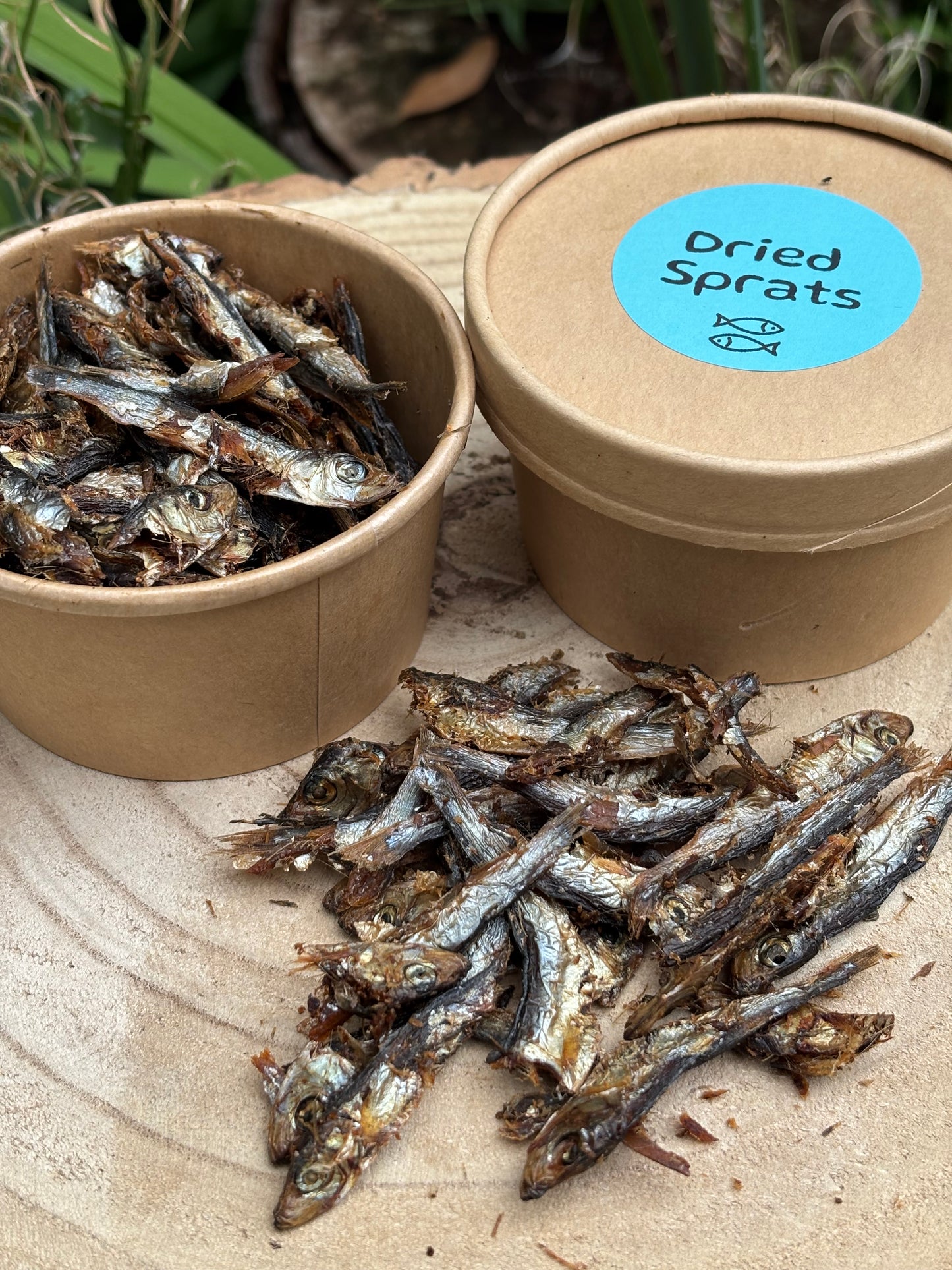 Potted Natural Air Dried Sprats