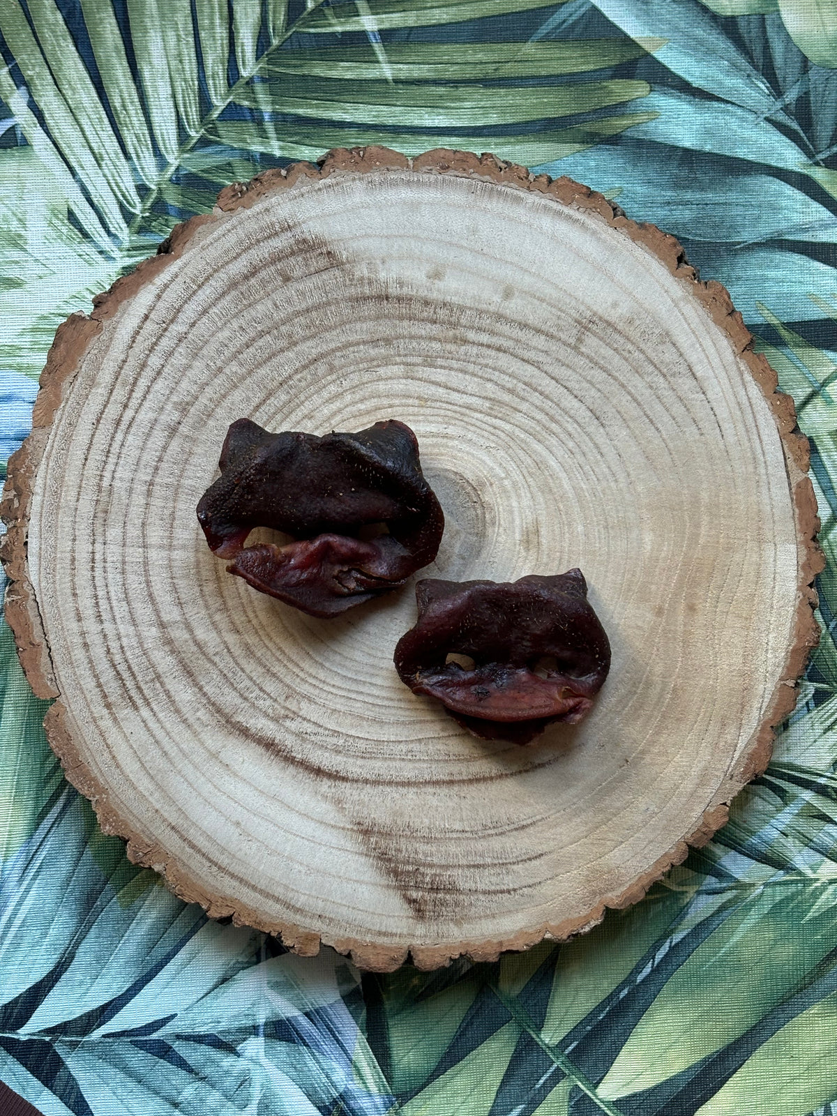 Pig Snout- Natural