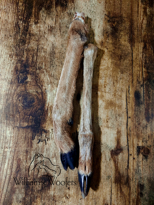 Venison legs